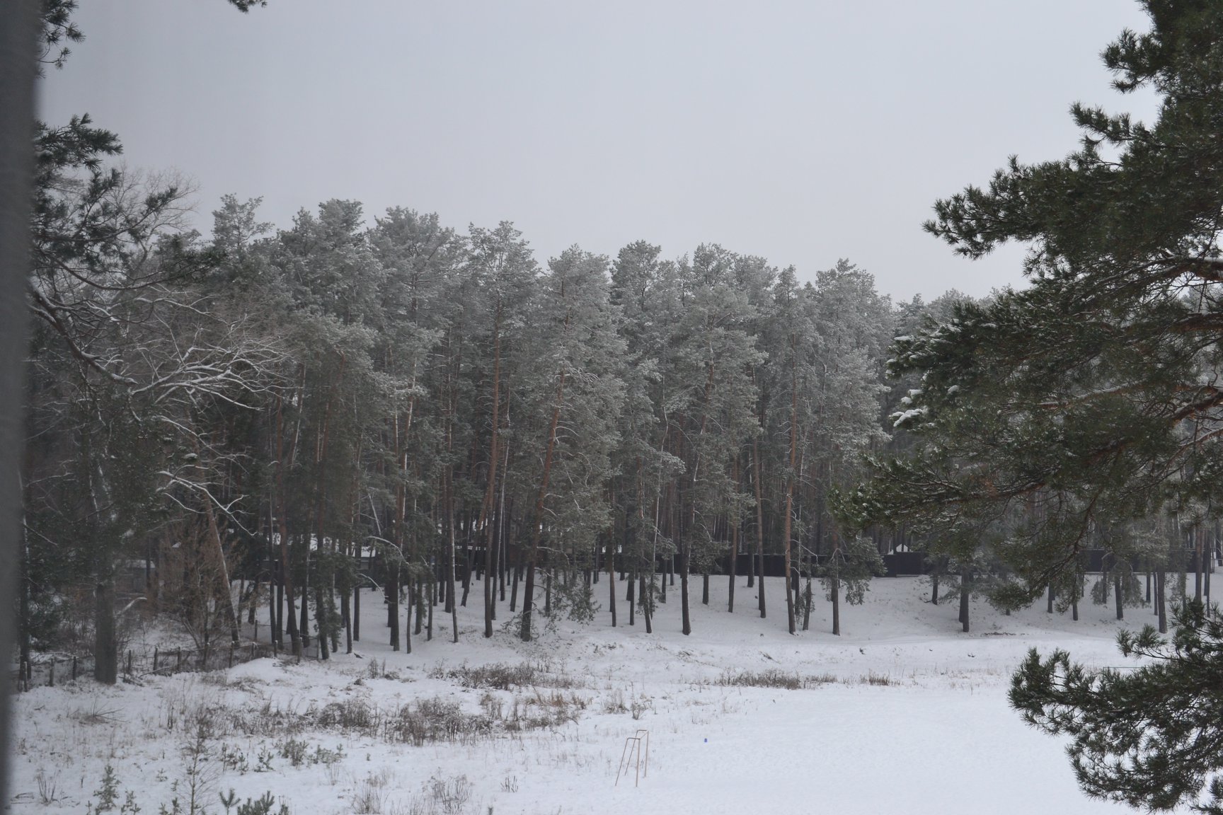 48420276 290184731633349 7825412584902754304 o